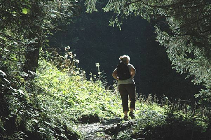 From the forest to the clearing