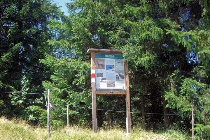 Panneau d’information chamois