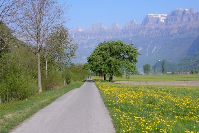 Heidiland Skate Nr. 53