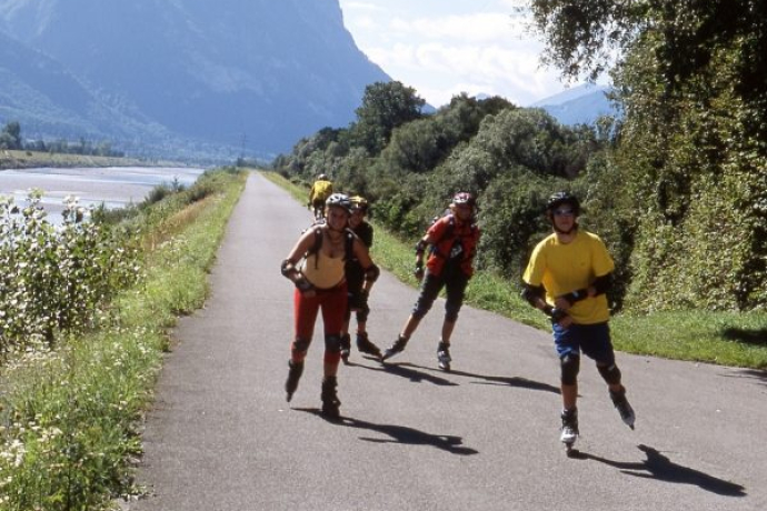 Heidiland Skate Nr. 53