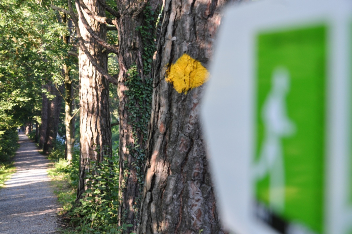 Le sentier du Giessenpark le long de la Tamina