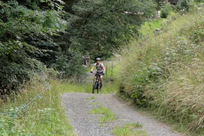 Traverser sur le chemin forestier en direction d’Unter Valzeina