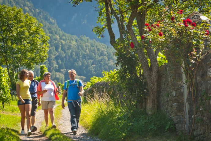 Escursione nella Bündner Herrschaft