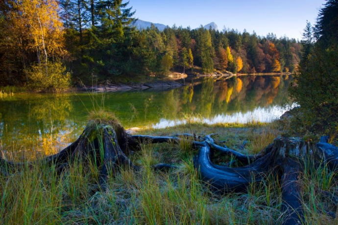 Lago di Chapfensee