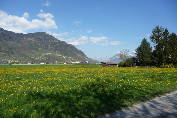 at the Mühlihof, view towards Mastrils