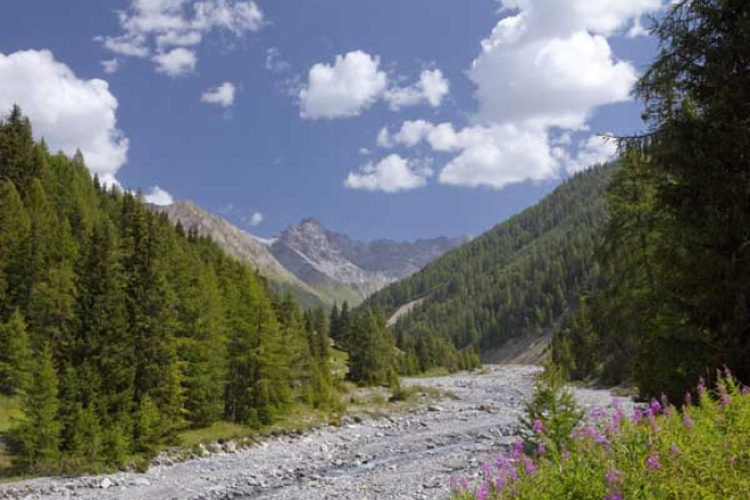 Oberhalb des Val Cluozza