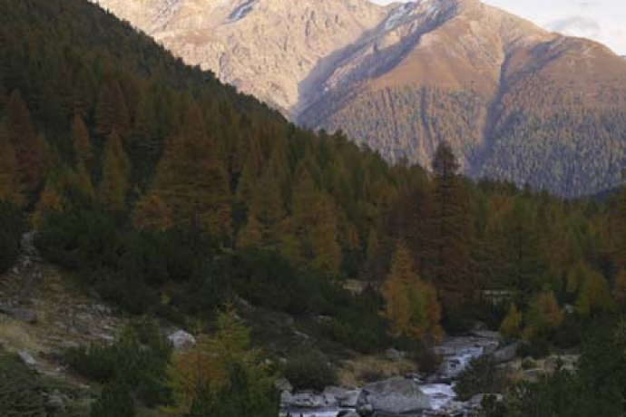 Via Engiadina Etappe 5: Zuoz – Zernez [SchweizMobil-Nr. 87] (oua_23436274_image)