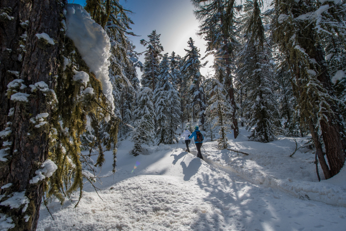 Celerina - Pontresina (SwitzerlandMobility Route 564) (oua_23436375_image)