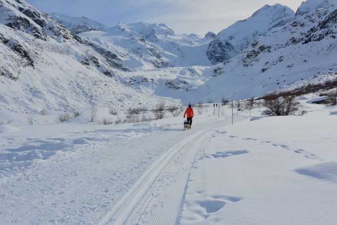 Morteratsch (oua_23436378_image)