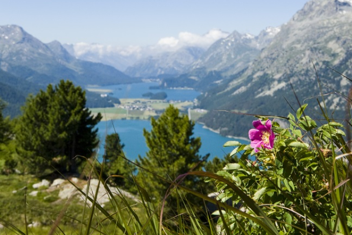 Aussicht auf die Seenplatte
