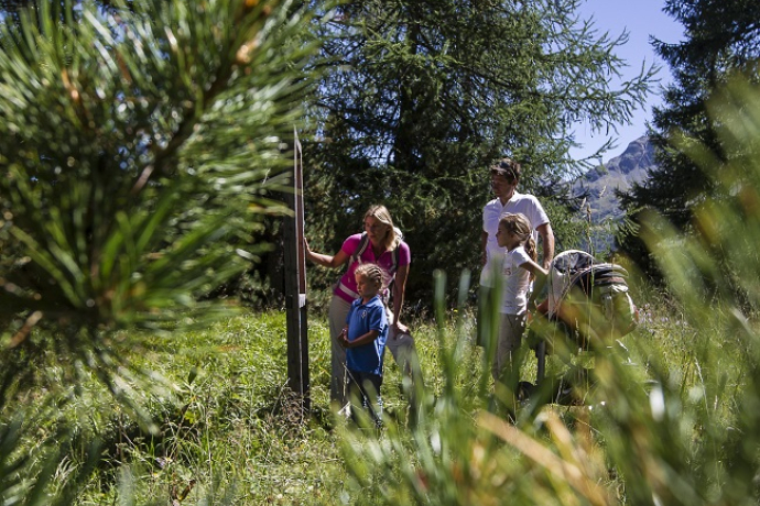 Il sentiero dei fiori di Heidi