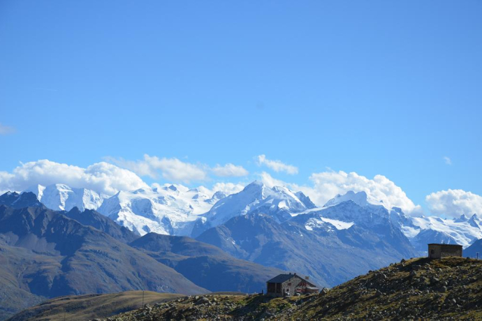 View Chamanna d'Es-cha, Bernina group