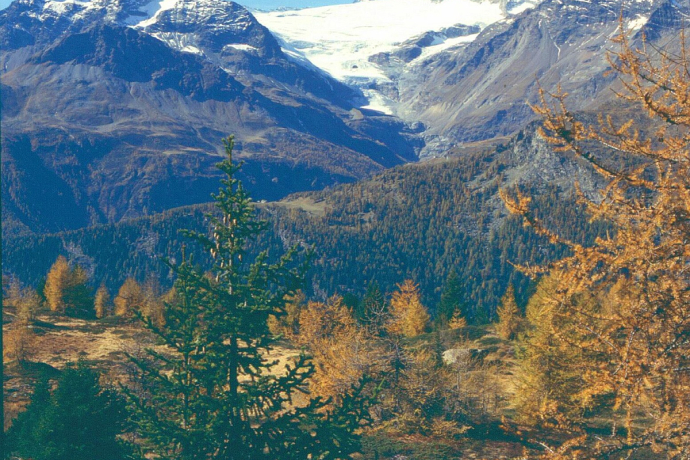 Aura Freida mit Bergpanorama