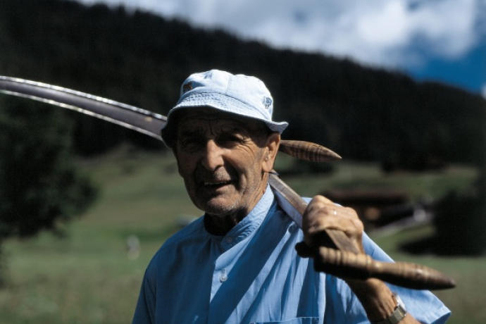 Hay-making in Davos Glaris