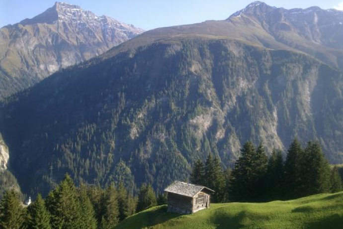 Safien Platz - Zalön - Hof - Safien Platz (oua_23438234_image)