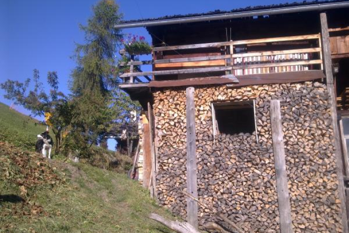 Safien Platz - Zalön - Hof - Safien Platz (oua_23438235_image)