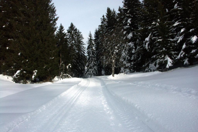 Langlaufloipe Migliè / Plaun sut