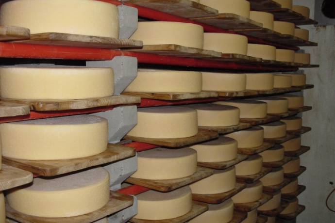 Cave à fromage Schrina