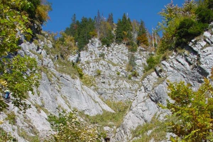 Sitzbachtobel, schöner Schluchtwald