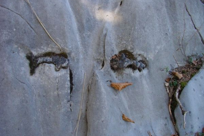 Silex dans le calcaire de Quintner