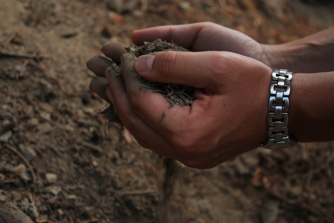 Erde rinnt durch die Finger