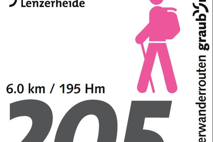Routennummer 205