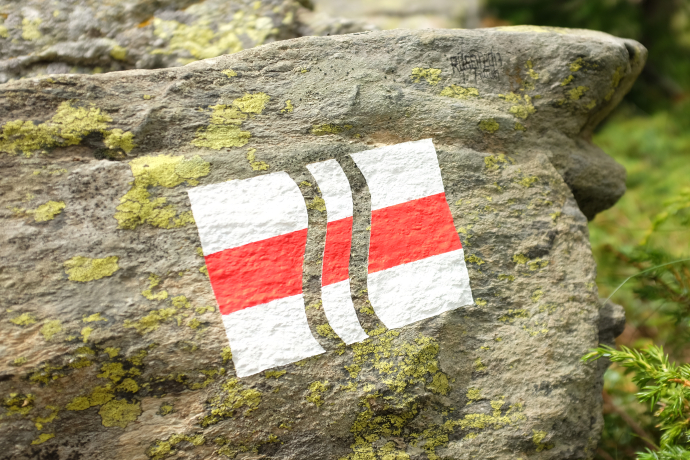 Lo scroscio del Palü - Il suono del Palü