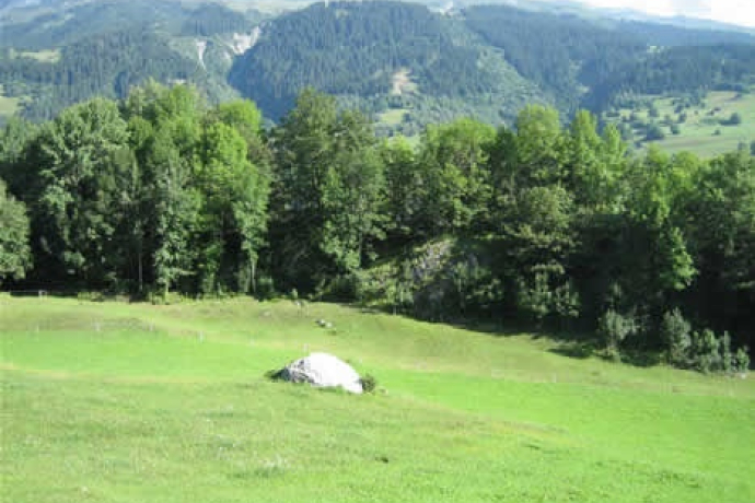 Ruine Grep Ault, Zignau (oua_23982607_image)