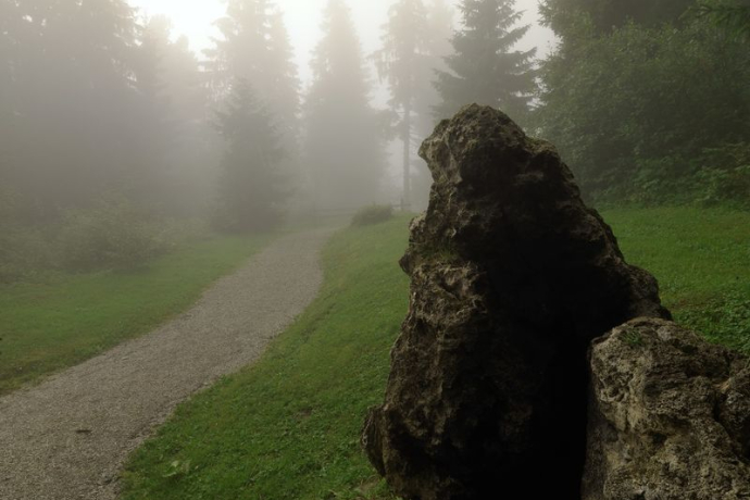 Uaul da Sogn Carli / Escherwald, Morissen (oua_23982929_image)