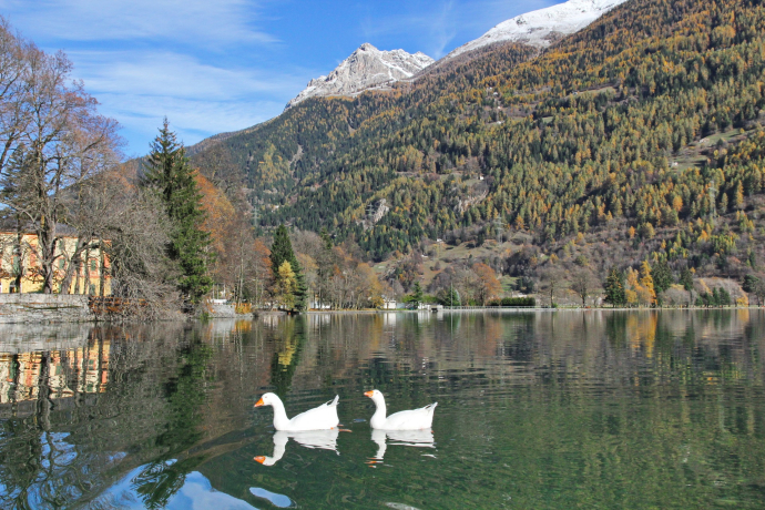 Lago di Poschiavo