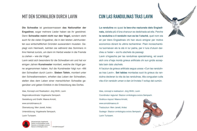 Avec les hirondelles à Lavin (oua_24013661_image)