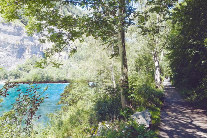 Sentier lacustre sur le Rhin alpin
