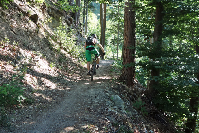 Trail fun in the woods