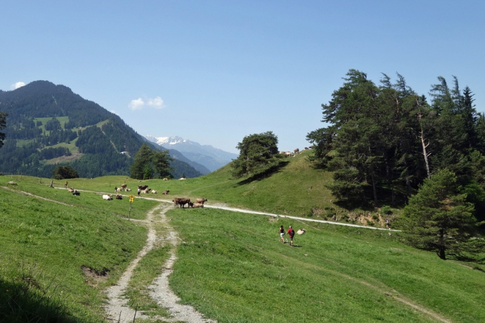 Mittenberg - beliebtes Churer Ausflugsziel