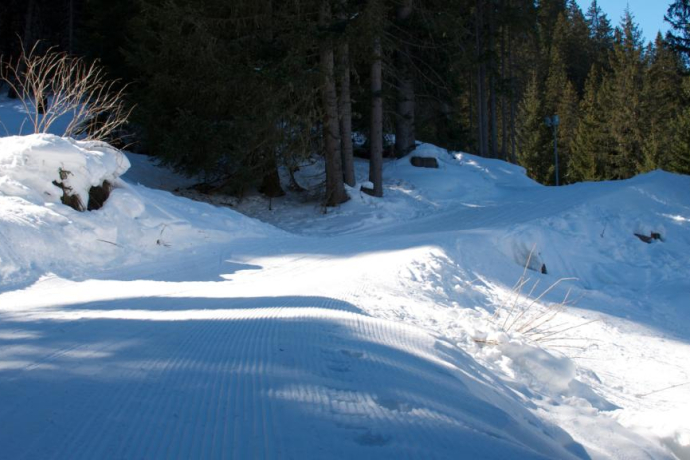 Schlittelbahn Splügen