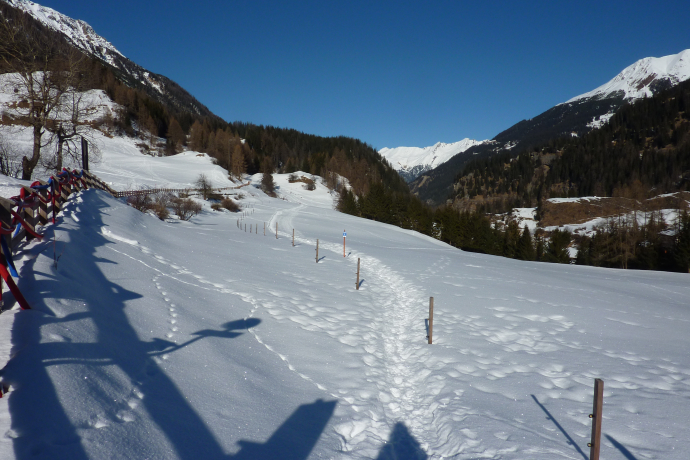 Snowshoe trail Bergünerstein
