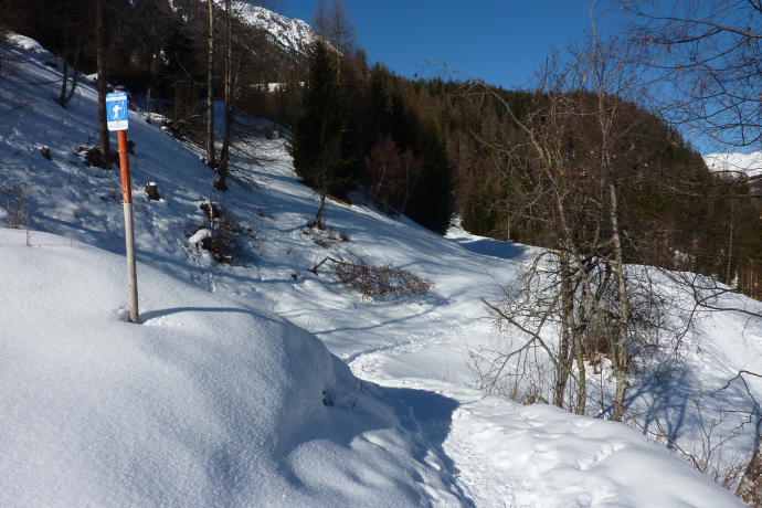526 Snowshoe trail Bergünerstein (oua_24237451_image)
