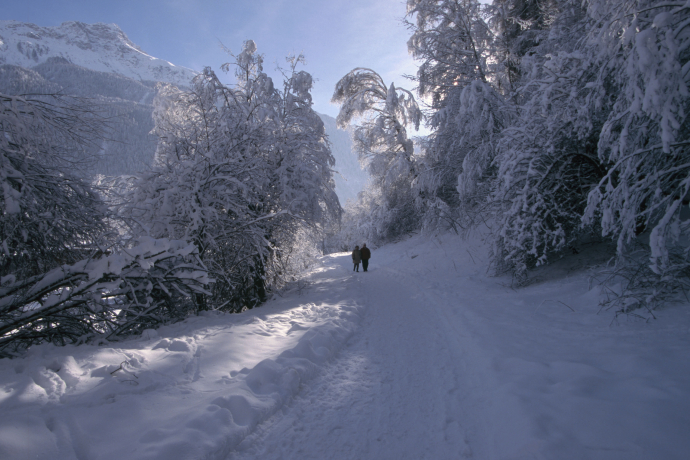winter hiking trail