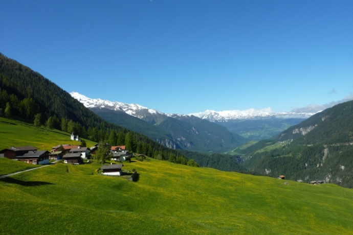 Wiesen Station - Bäratritt - Jenisberg (oua_24302863_image)