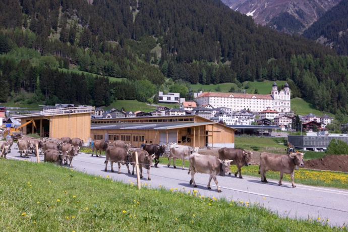 Center Sursilvan - Klosterstall