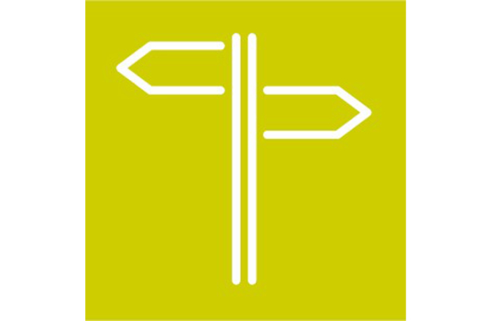 Die Kühe der Safier