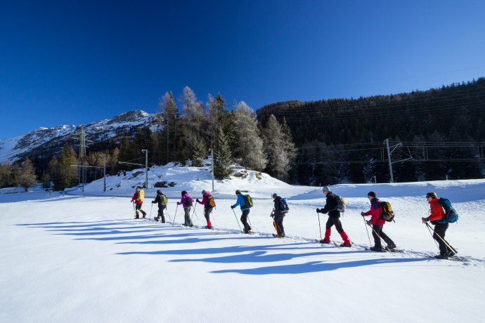Schneeschuhwanderung Cavaglia (oua_25220136_image)