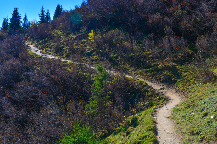 Panorama Trail OBA (oua_25230550_image)