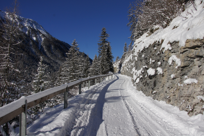 217 Bergün - Latsch - Stuls (oua_25241011_image)