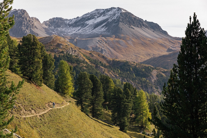 Flowtrail zur Alp Champatsch