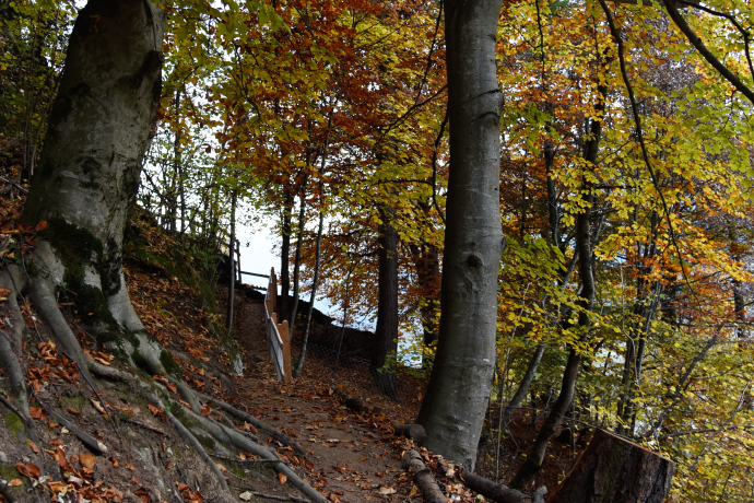 Runchett da Sotsassa