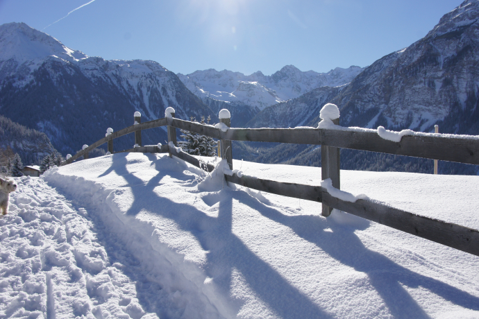 Latscher Panoramaweg (oua_25269546_image)