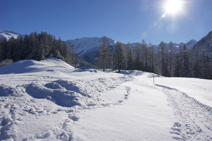 Latscher Panoramaweg (oua_25269561_image)