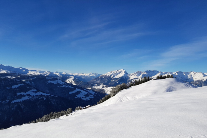 Blick Richtung Rheintal und Calanda.