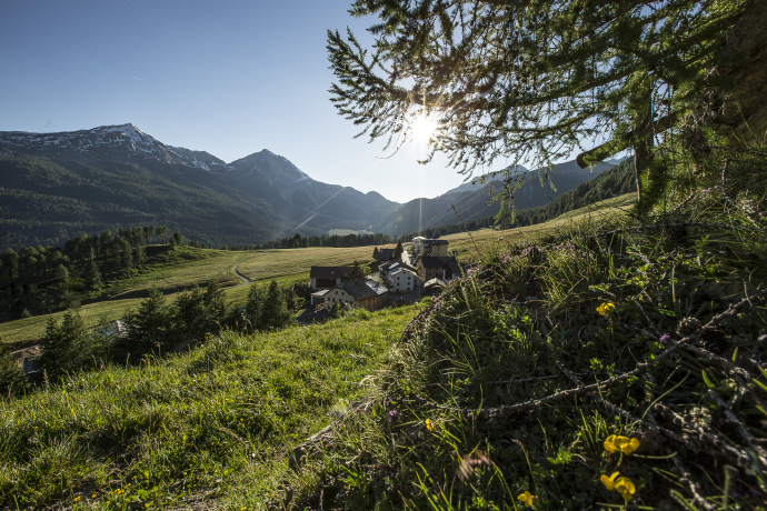 Lü (oberhalb Tschierv)